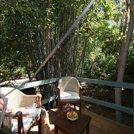 Le Jardin Touagana - Campement & Lodge Touggana المظهر الخارجي الصورة