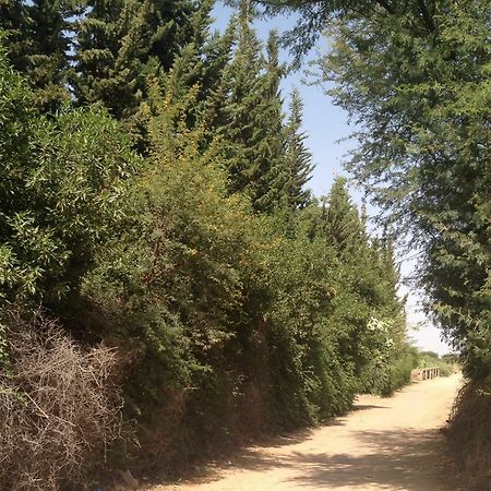 Le Jardin Touagana - Campement & Lodge Touggana المظهر الخارجي الصورة