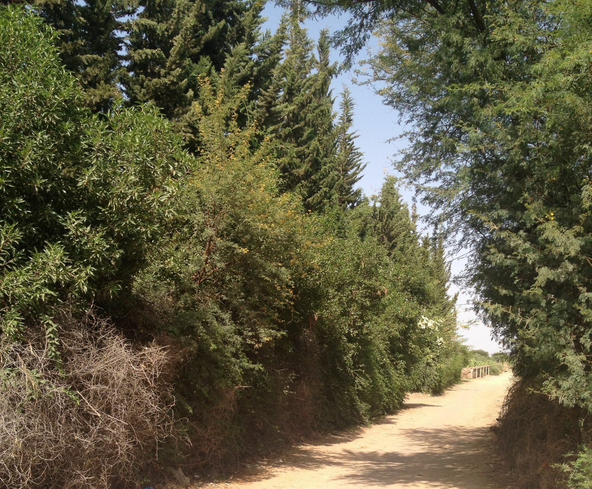 Le Jardin Touagana - Campement & Lodge Touggana المظهر الخارجي الصورة