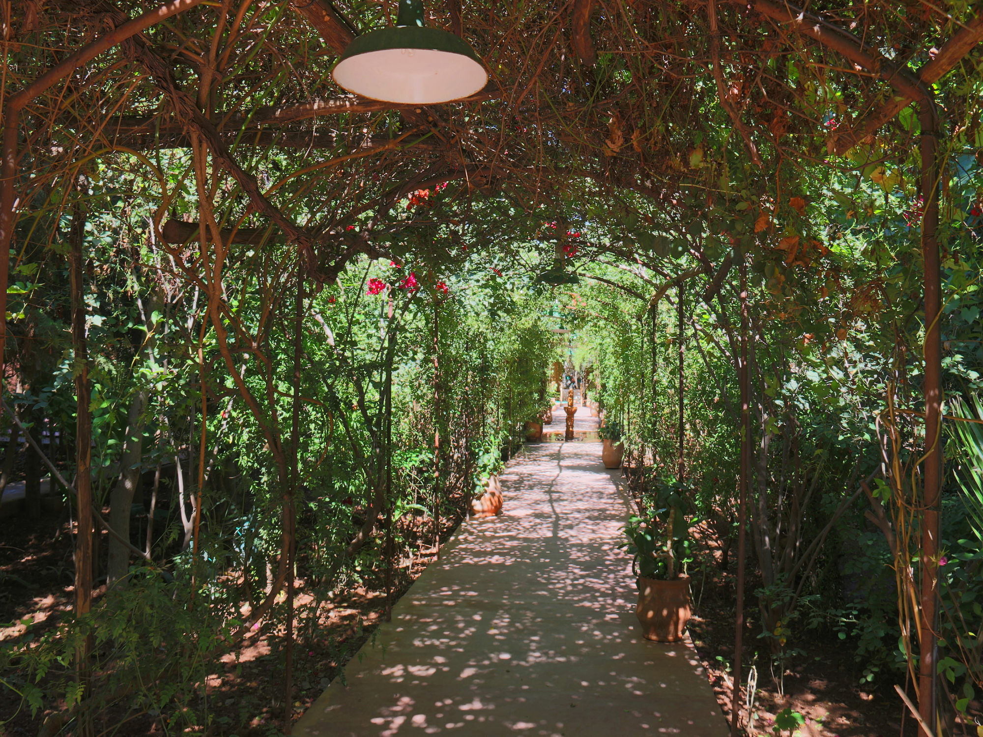 Le Jardin Touagana - Campement & Lodge Touggana المظهر الخارجي الصورة