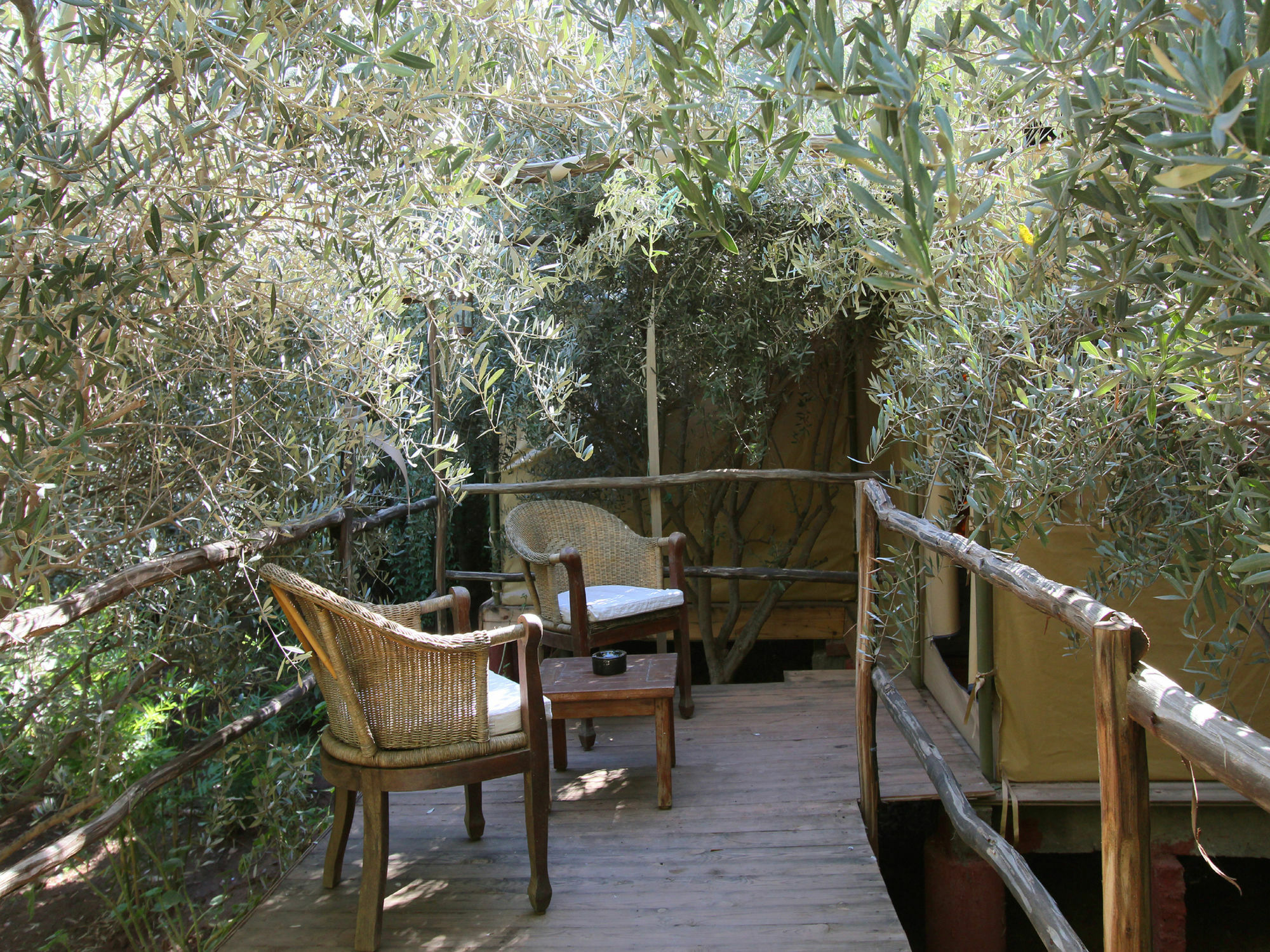 Le Jardin Touagana - Campement & Lodge Touggana المظهر الخارجي الصورة